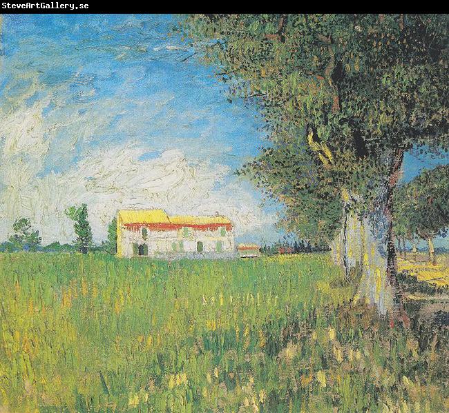 Vincent Van Gogh Farmhouse in a wheat field